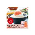 魚貝類 明太子 やまやのできたてめんたい750g 150g×5個セッ…