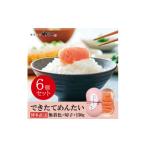 魚貝類 明太子 やまやのできたてめんたい900g 150g×6個セッ…