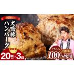 犬鳴豚の手作りプレミアムハンバーグ 20個入り