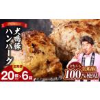 犬鳴豚の手作りプレミアムハンバーグ 20個入り