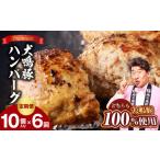 犬鳴豚の手作りプレミアムハンバーグ 10個入り