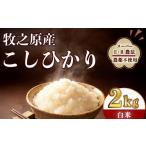 米 コシヒカリ お米 2kg