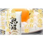 ふるさと納税 米 コシ�