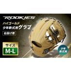 スポーツ アウトドア ハイゴールド少年軟式用グラブ