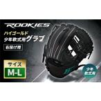 スポーツ アウトドア ハイゴールド少年軟式用グラブ
