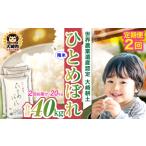 ふるさと納税 米 ひと�