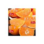 みかん 柑橘類 発送月固定定期便 蜜時 みつどき