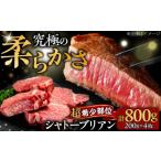 牛肉 ヒレ 博多和牛 シャトーブリアン 200g×4枚