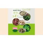 飴 あめ トウキ葉玄米飴 紫菊芋飴 桑の葉飴セット