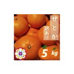 ふるさと納税 みかん・柑橘類 愛媛県 八幡浜市  先行受付 愛咲果樹園「せとか」訳あり約5kg C71-38 1718253 ふるさと納税 みかん ミカン 柑橘 フルーツ くだも…