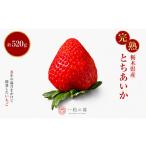 いちご とちあいか 完熟いちご ご褒美 約260g×2パック