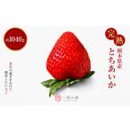 いちご とちあいか 完熟いちご ご褒美 約260g×4パック