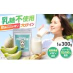 飲料類 プロテイン Mecha Melonプロテイン