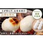 米 パン 餅 滋賀羽二重糯のまん丸おもち 24個