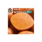 たねなし柿 約1kg