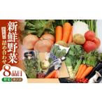 セット 詰合せ 野菜セット お試し野菜セット
