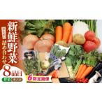 セット 詰合せ 野菜 定期便 6回定期便 お試し野菜セット