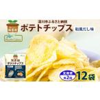 菓子 スナック 2回定期便 3か月毎 純 ポテトチップス