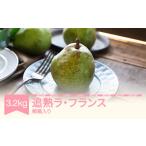 梨 ラ フランス 洋梨 ラフランス 3.2kg