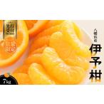 甘平×まどんな 7kg