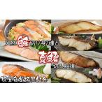 魚貝類 鮭 A-18045 天然鮭切り身2種