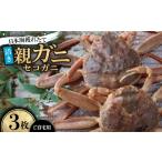 カニ 活き 日本海獲れたて親ガニ セコガニ 3枚