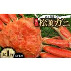 カニ 蒸し 日本海獲れたて松葉ガニ 大 1枚