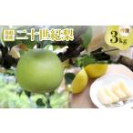 梨 プレミアム王秋梨 3kg