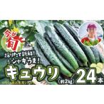 野菜類 キュウリ 採りたてシャキ旨 24本