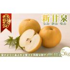 プレミアム 甘太梨 約5kg