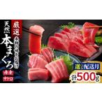 マグロ 本物の味をお届け 厳選 天然本鮪 中トロ