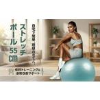 スポーツ アウトドア ストレッチボール 55cm