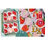 いちご とちひめ ミルキーベリー DX 白 赤