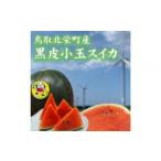 fu.... налог арбуз Tottori префектура север . блок предшествующий предварительный заказ чёрная кожа маленький шар арбуз Tottori префектура север . блок производство сельское хозяйство дом указание ( этот возврат . товар., большой . запад . нет )