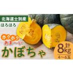 野菜類 士別産 かぼちゃ ほろほろ 8kg