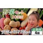 定期便4回 安芸ブランド 新鮮お野菜詰め合わせセット