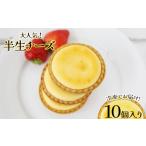 ケーキ カステラ チーズケーキ 半生チーズ 10個入