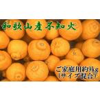 農園直送 産不知火 もりもりの約9kg サイズ混合