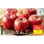 羽山りんご 完熟サンふじ 5kg