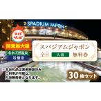 温泉 サウナ スパ利用券 スパジアムジャポン