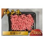 牛肉 ハンバーグ 和牛セレブ 神戸牛 特選ミンチ肉 300g