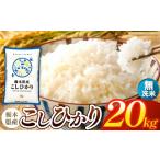 お米 白米 こしひかり 20kg