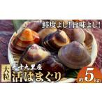 しじみ あさり 蛤 はまぐり 活はまぐり 大粒 5kg