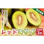 果物類 R8年熊本地震復興支援 3ヶ月定期便
