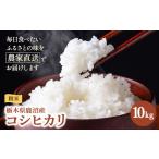 令和8年度産 コシヒカリ 精米 10kg
