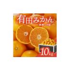 ふるさと納税 果物類 みかん 和歌山県 有田市 有田みかん「未来への虹」(10kg)(A2-2)