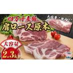 四万十麦豚 肩ロース原木 約2.3kg