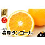 みかん 柑橘類 先行受付 トロッととろける果実
