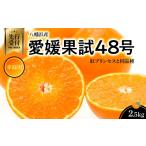 みかん 柑橘類 先行受付 愛媛果試48号 紅プリンセスと同品種
