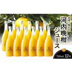 果汁飲料 みかん 河内晩柑ジュース ストレート 720ml×12本